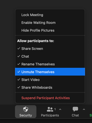 Screen Shot 2022-06-01 at 9.56.45 AM.png