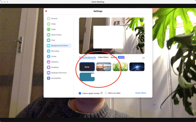 Screen Shot 2022-06-02 at 6.59.07 pm.png