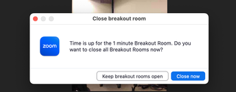 Screen Shot 2023-05-04 at 11.50.05 AM.png