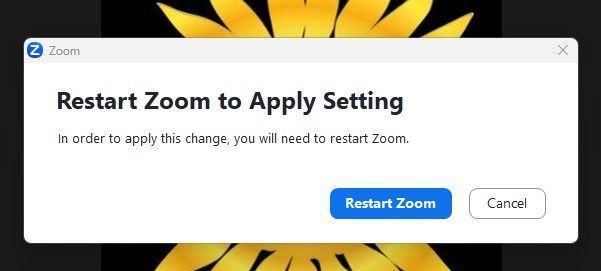 Restart Zoom to Apply Setting.jpg