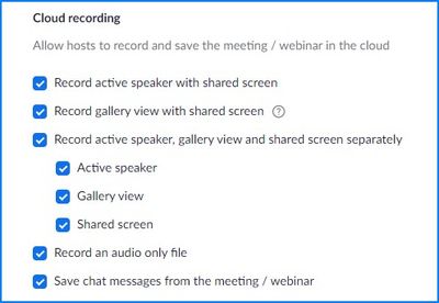 Screenshot 2021-08-28 204733-Zoom-AllCloudRecordOptions.jpg