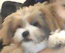 WIN_20210526_20_02_20_Pro (2).jpg