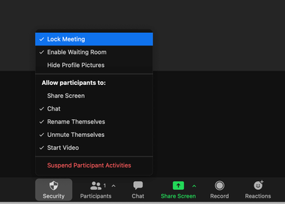 Screen Shot 2022-01-14 at 2.16.11 PM.png