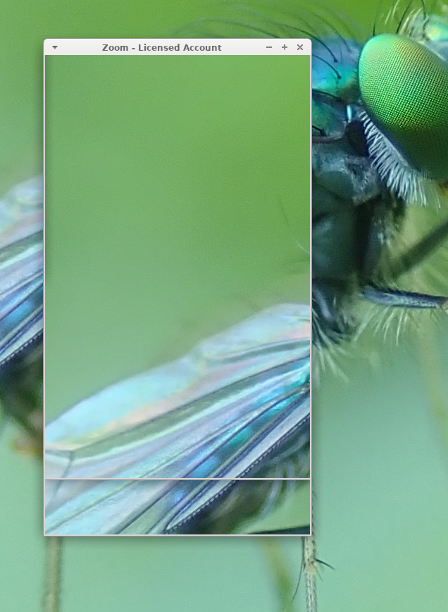 Screenshot from 2021-08-17 15-00-21.png