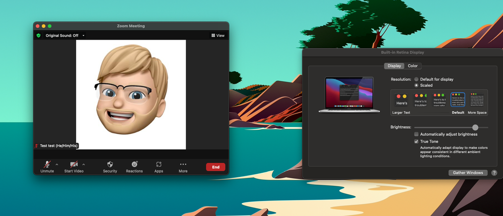 Screen Shot 2022-03-11 at 10.41.18 AM.png