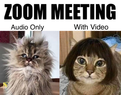 Zoom-meeting-audio-vs-video-meme-758x597.png